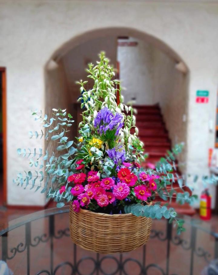 Hotel Casa Catrina Oaxaca Exterior foto